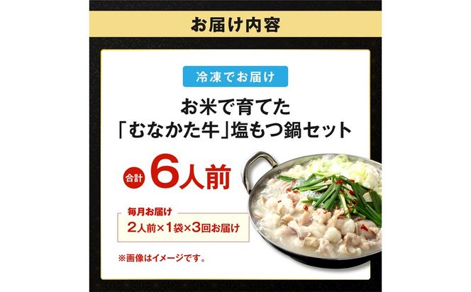 【定期便／3回／毎月お届け】塩もつ鍋 2人前×定期便3回 計6人前【道の駅むなかた】_AM0220-00　むなかた牛 もつ鍋 塩もつ鍋 福岡県宗像市 宗像市 福岡 宗像