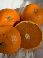 完熟清見オレンジ 赤秀品 5kg（М・L・2L/サイズ指定不可） CC27