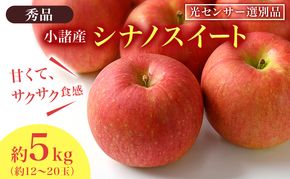 シナノスイート 秀品 約5kg 長野県産 果物類 林檎 りんご リンゴ フルーツ 小諸市