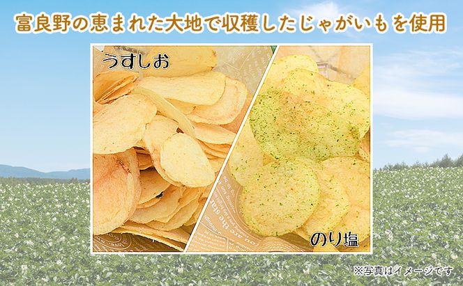 ポテトチップス 定期便 2ヶ月 北海道 ふらのっち 2種類(各12袋) 詰め合わせ セット JAふらの 食べ比べ じゃがいも スナック うすしお のり塩 コンソメ ガーリック チップス ポテト お菓子 おやつ 箱 農協 3ヵ月に1回お届け 定期 2回 