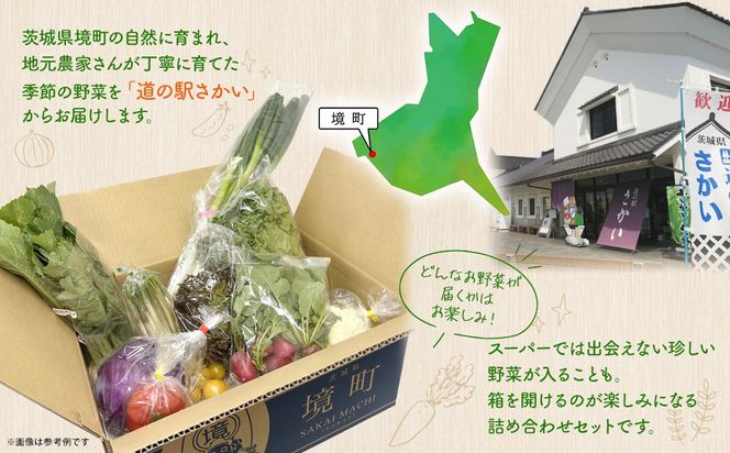 【ふるさと納税限定】さかいの採れたて野菜セット 5～8種