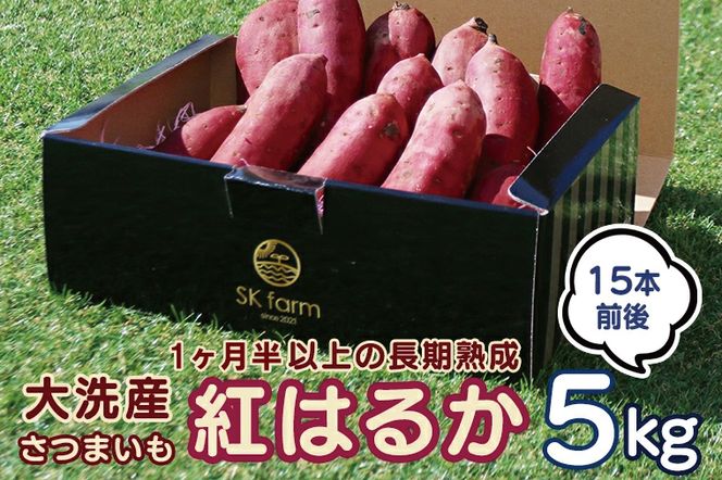 <先行予約>大洗産 さつまいも 紅はるか 5kg （15本前後） Sea Sweet 長期熟成 茨城県産 サツマイモ 土付き 生芋 芋 さつま芋 薩摩芋 甘藷 べにはるか