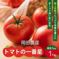 トマト 1kg トマトの一番星 野菜 とまと 完熟 高糖度 甘い 受賞 冷蔵配送