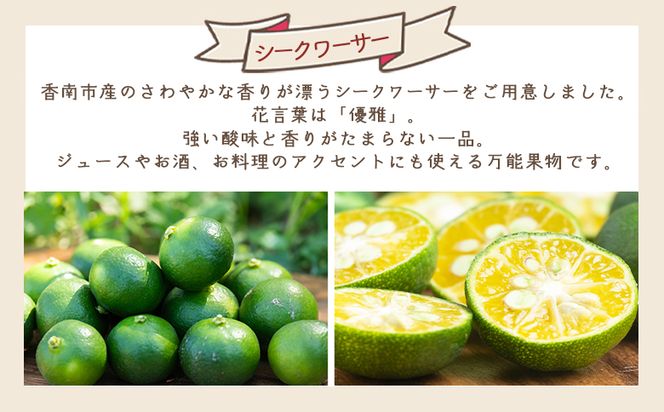 さわやかな香り漂うシークワーサー 1kg 柑橘 フルーツ くだもの 果物 yr-0106