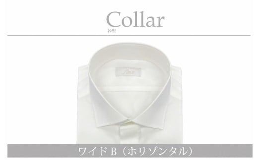 yVszyDzI[_[VcHō100YphXVcuLLTCYv܌^ChJ[iz]^j 1080046