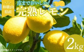EA6010n_和歌山県産 完熟 レモン 2kg 皮まで使用可能（栽培期間中農薬不使用）