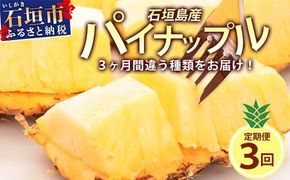 【予約受付】【定期便】石垣島産 パイナップル 3回 定期 3種 計6玉【2026年 5月頃・6月・7月頃お届け】 ふるさと納税 パイナップル パイン フルーツ 果物 果実 定期便 定期 3回 3か月 沖縄県 石垣市 石垣島 産地直送 ふるさと 人気 送料無料 KP-18