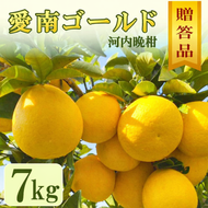 贈答用 愛南ゴールド（河内晩柑） 7kg 10000円 柑橘  みかん mikan 蜜柑 ミカン 愛南ゴールド 国産 特産品 ギフト プレゼント お中元 果物 柑橘 おいしい 甘い 前田ファーム 愛南町 愛媛