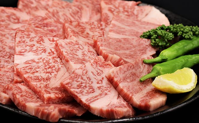 ふるさと納税　飛騨牛 ロース＆カルビ 焼肉 セット  計1kg A5 和牛 牛肉 お肉 ロース カルビ 食べ比べ 焼肉用 バーベキュー BBQ 