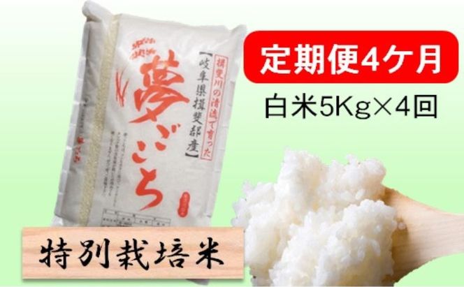 定期便4カ月【令和7年産】特別栽培米5kg【白米】(夢ごこち) 米 お米 白米 コメ ご飯 定期 岐阜県 池田町