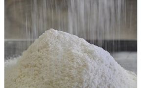 和三盆糖 加工食品 調味料 砂糖 