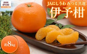 【先行予約】【数量限定】JAにしうわ みつる共選 伊予柑 約8kg ※離島への配送不可（2027年1月上旬より順次発送予定） IKTBC007