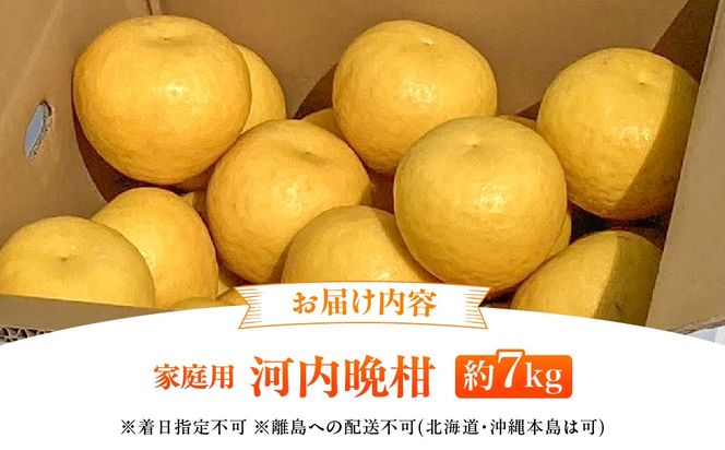 【先行予約】【家庭用】河内晩柑 7kg ※離島への配送不可 （2027年4月10日より順次発送） IKTA030