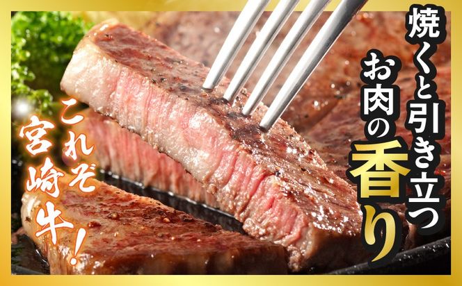 宮崎牛サーロインステーキ200g×2枚_18-4201