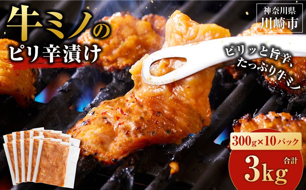 牛ミノ ピリ辛漬け 3kg ( 300g × 10パック ) 小分け 個包装 便利 牛肉 ホルモン ミノ 焼肉 焼き肉 お肉 肉 焼くだけ 冷凍 たれ 味付き BBQ アウトドア キャンプ 人気 おすすめ 神奈川 川崎[2025年10月発送] 141305_KZ17VC10