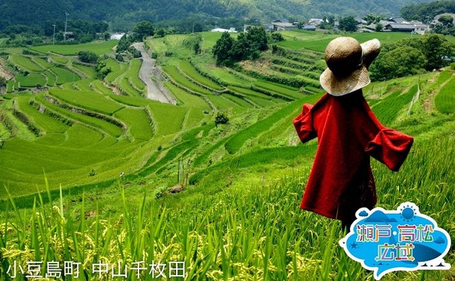 「瀬戸・たかまつネットワーク」香川県　小豆島方面（お手頃プラン）2日間 チケット ペア 旅行券 観光 