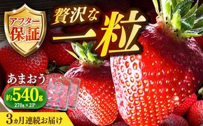 【2025年2月より順次発送】【全3回定期便】農家直送 朝どり新鮮いちご【博多あまおう】約270×2パック《築上町》【株式会社H&Futures】[ABDG008]