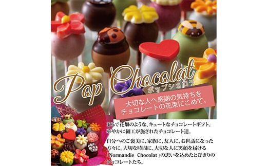 ポップショコラ 8本ブーケ｜チョコレート チョコ ショコラ スイーツ お菓子 おかし 菓子 個包装 ギフト ※離島への配送不可