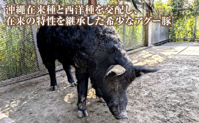 アグー豚もも角切り 600g (200g×3パック)[BCEO022]