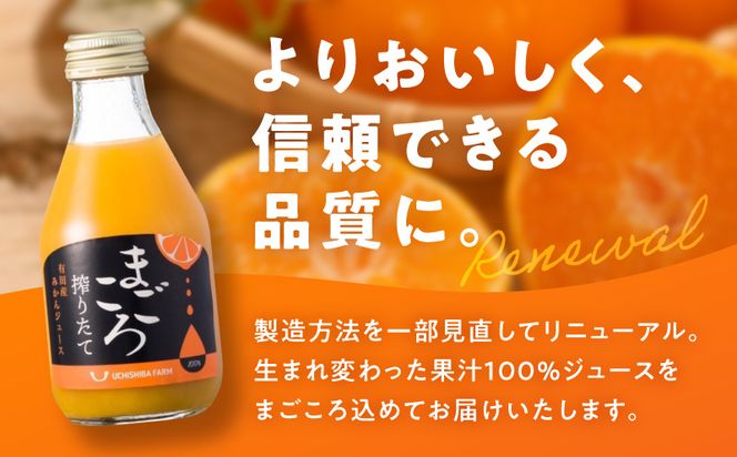 ZE6462_【まごころ搾りたて】有田みかん100%ジュース 180ml×6本 