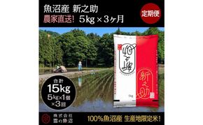 【令和7年産】定期便！魚沼産 新之助【合計15kg】5kg×3回 お米 米 こめ コメ 