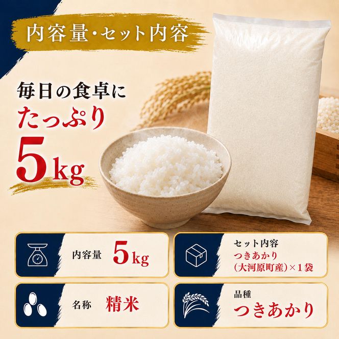 つきあかり 定期便 2回/5kg×1袋 令和8年産 新米 ブランド米 白米 精米 【小分け】 宮城県大河原町産