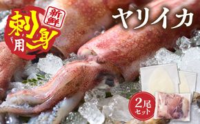 刺身用 新鮮ヤリイカ2杯セット(宗像鐘崎産)【マルケイ水産】_HA0416