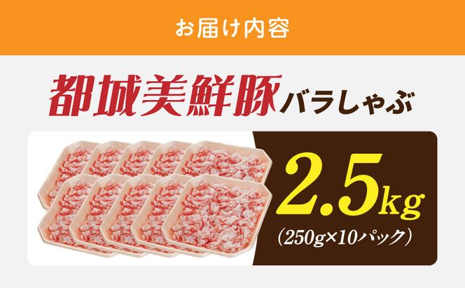 「都城美鮮豚」バラしゃぶ2.5kg_AC-5402_(都城市) 豚肉 ブランド豚 都城美鮮豚 銘柄豚 豚バラしゃぶしゃぶ肉 250g×10パック 2.5kg 炒め物 丼もの