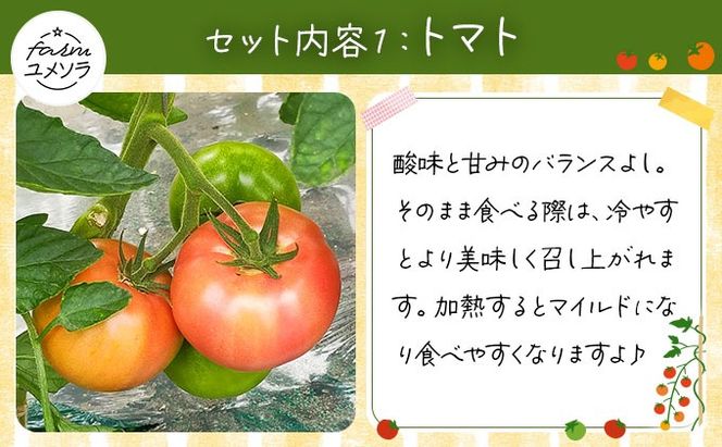 ◆2026年7月から順次出荷◆ farmユメソラ 大玉トマト＆玉ねぎセット 約5kg [famy-003]