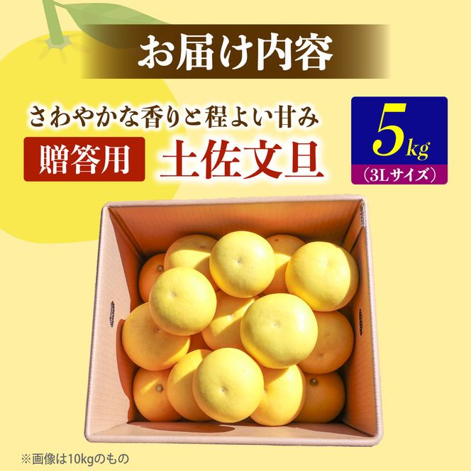 【先行予約】土佐文旦の創始 宮地文旦園の土佐文旦 贈答用3L 大玉 約5キロ 7～9個入り 5kg〈2027年3月上旬～4月下旬〉 ぶんたん ブンタン フルーツ 柑橘 みかん 果物 くだもの 柑橘類 デザート プレゼント ギフト 高知県 土佐市【宮地文旦園】[BQBP003]
