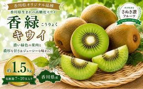 香緑（こうりょく）キウイ  約1.5kg 化粧箱 キウイ フルーツ 果物 香川県 土庄町