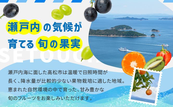 【3回お届け】高松市自慢のフルーツ定期便【A】 372013_T006-765J