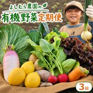 野菜 定期便 3回 詰め合わせ 10種 よしむら農園 オーガニック 有機 有機野菜 やさい ベジタブル おまかせ セット 一人暮らし おすすめ レタス とうもろこし トマト 有機栽培 JAS 栄養 贅沢 国産 大容量 人気 新鮮 今が旬 香川県 丸亀市
