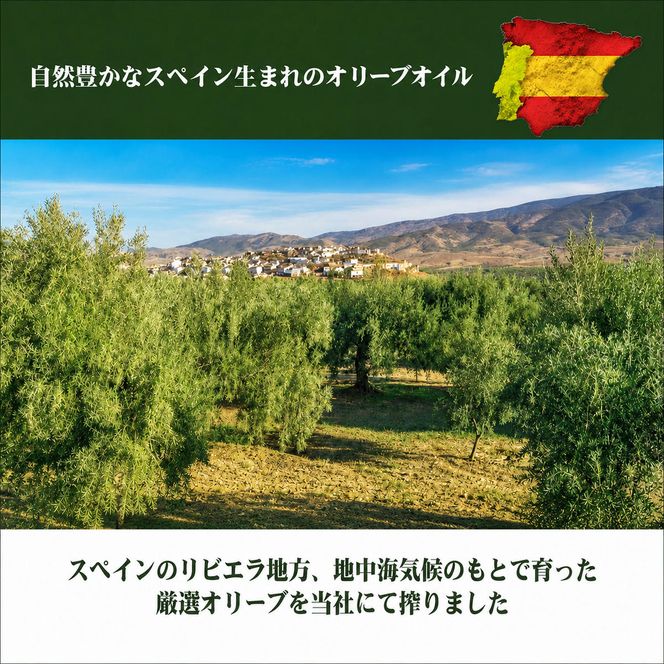 【 小豆島 】 オリーブオイル 1000ml 3本 セット 1L 詰め合わせ 食用油 パスタ サラダ ドレッシング 揚げ物 調味料 スペイン 土庄町