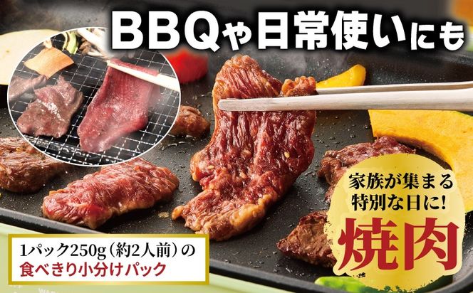 099H4379 牛タン焼肉 オリジナルスパイス＆牛ハラミ甘辛 食べ比べ焼肉セット 合計2kg（250g×8P）