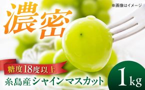 【先行受付】【糖度18度以上】 糸島産 シャインマスカット 1kg（2〜4房）【2026年8月中旬より順次発送】 糸島市 / 和饗エコファーム フルーツ 果物[AVI006] シャインマスカット マスカット ぶどう ブドウ フルーツ 果物 甘い 高糖度