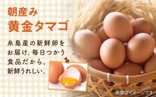 【全6回定期便】糸島の朝産み黄金タマゴ10個 朝どれ新鮮野菜5品 セット【福岡県糸島産】 糸島市 / オーガニックナガミツファーム 玉子 やさい 	[AGE048]
