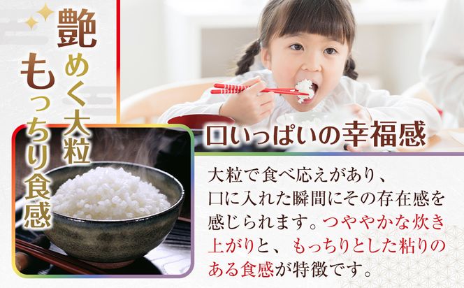 米 にじのきらめき 和歌山県産 10kg（5kg×2）（2025年産）［SL15］ 303446_CG90022
