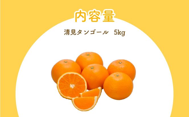 【先行予約】清見タンゴール（生果5kg）※離島への配送不可（2026年3月上旬より順次発送予定） IKTBD015