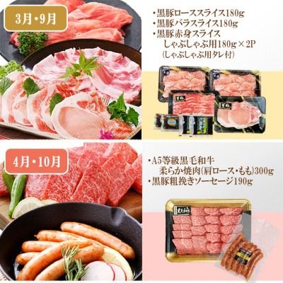 定期便(6回)A5・A4等級黒毛和牛・黒豚etc FF-0061 【1166779】