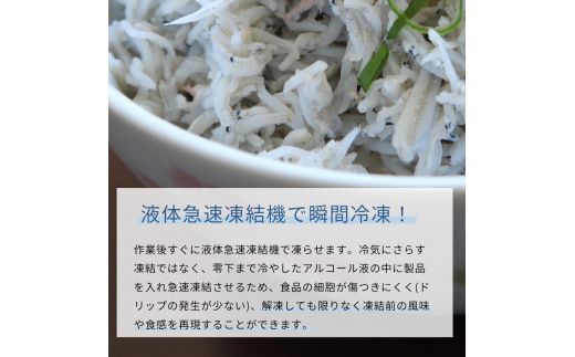 紀州和歌山湯浅産 釜揚げしらす 500g(100g×5) ※冷凍発送 シラス 釜揚げシラス 海産 海の幸 魚 さかな【uot786A】