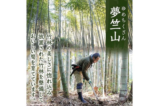a931 ＜先行予約受付中！2027年3月中旬～4月中旬まで体験分＞竹の子堀り体験(1名様：昼食・タケノコ5kgお持ち帰り付) たけのこ タケノコ 筍 竹の子 体験 【夢竺山株式会社】
