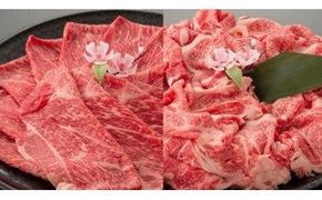 近江牛二種セット【1kg（赤身スライス500ｇ、切り落とし500ｇ）】【AC13W】（国産牛　和牛　ブランド牛　ブランド和牛　黒毛和牛　牛肉　肉　高級　人気　おすすめ　神戸牛　松阪牛 に並ぶ 日本三大和牛 近江牛）