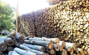 薪 20kg 10箱 セット 森のちから 五名の薪 燃料 アウトドア アウトドア用品 キャンプ キャンプ用品 BBQ 薪ストーブ 焚き火 コナラ クヌギ カシ 香川 香川県 東かがわ市 (配送不可:北海道・沖縄県・離島地域)