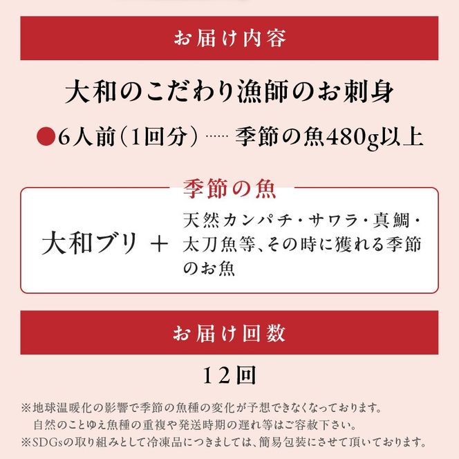 【12ヶ月定期便】大和海商　大和のこだわり漁師のお刺身　6人前 N072-YG0187_2