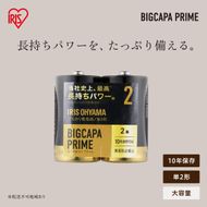 アルカリ乾電池 単2形  24本（2本パック×12個セット） BIGCAPA PRIME LR14BP/2P×12