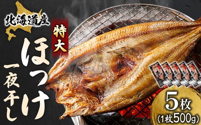 北海道産 ほっけ一夜干し（500～550g）×5枚 ｜ 釧路町の匠が贈る 北の至宝 ホッケ 干物 焼魚 焼き魚 白身魚 セット ひもの 魚干物 一人暮らし セット おかず 冷凍 スピード発送 すぐ届く 魚介類 海鮮 絶品 人気 ヒロセ すぐ発送 北海道 釧路町 釧路超 特産品