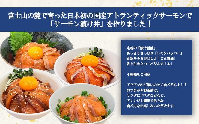 小山町産アトランティックサーモン（冷凍）サーモン漬け丼　食べ比べセット（4つの味×2パック）