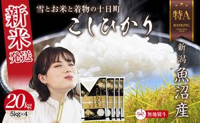 【令和8年産 新米】 無地のし 新潟県 魚沼産 コシヒカリ お米 20kg （5kg×4袋）精米済み（お米の美味しい炊き方ガイド付き）