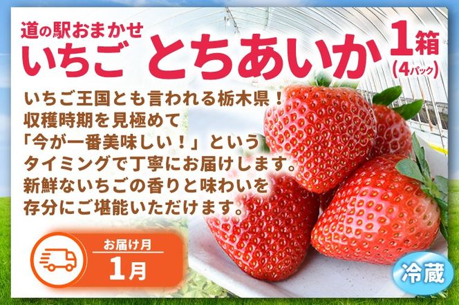 ＼旬なフルーツをお届け／ましこのフルーツ定期便 ＜年6回＞ | イチゴ ブルーベリー マンゴー 梨 ブドウ メロン 高級果物 フルーツ 新鮮 フレッシュ 旬 人気 ましこの果物 道の駅ましこ 果物 詰合せ セット 定期便 全6回 (AA043)